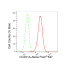 KD-Validated CC2D1A Rabbit mAb (20 μl)