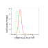 KD-Validated CIRBP Rabbit mAb (20 μl)