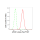 KD-Validated AP2S1 Rabbit mAb (20 μl)