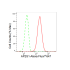 KD-Validated AP2S1 Rabbit mAb (20 μl)