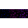 KD-Validated AP2S1 Rabbit mAb (20 μl)