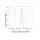 KD-Validated ACSL4 Rabbit mAb (20 μl)