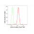 KD-Validated ACSL4 Rabbit mAb (20 μl)