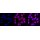 KD-Validated ACSL4 Rabbit mAb (20 μl)