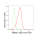 KD-Validated BRMS1 Rabbit mAb (20 μl)
