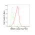 KD-Validated BRMS1 Rabbit mAb (20 μl)