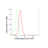 KD-Validated CD58 Rabbit mAb (20 μl)