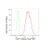 KD-Validated CAP1 Rabbit mAb (20 μl)