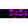 KD-Validated CAP1 Rabbit mAb (20 μl)