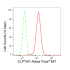 KD-Validated CLPTM1 Rabbit mAb (20 μl)
