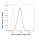 KD-Validated CLIP1 Rabbit mAb (20 μl)