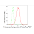 KD-Validated AKAP8 Rabbit mAb (20 μl)