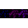 KD-Validated CAV3 Rabbit mAb (20 μl)