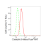 KD-Validated CAV3 Rabbit mAb (20 μl)