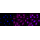 KD-Validated CAV3 Rabbit mAb (20 μl)