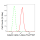 KD-Validated CTNND1 Rabbit mAb (20 μl)