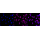 KD-Validated AR Rabbit mAb (20 μl)