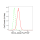 KD-Validated BCL2L1 Rabbit mAb (20 μl)