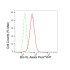 KD-Validated BCL2L1 Rabbit mAb (20 μl)
