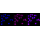 KD-Validated BCL2L1 Rabbit mAb (20 μl)