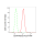 KD-Validated CD44 Rabbit mAb (20 μl)