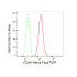 KD-Validated CD44 Rabbit mAb (20 μl)