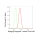 KD-Validated BIN1 Rabbit mAb (20 μl)