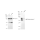 KD-Validated BIN1 Rabbit mAb (20 μl)