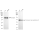 KD-Validated C3orf38 Rabbit mAb (20 μl)