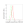 KD-Validated AR Rabbit mAb (20 μl)