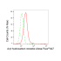 KD-Validated AHR Rabbit mAb (20 μl)