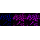 KD-Validated AHR Rabbit mAb (20 μl)