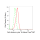 KD-Validated CDC16 Rabbit mAb (20 μl)