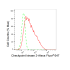 KD-Validated CHEK2 Rabbit mAb (20 μl)
