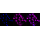 KD-Validated CTNNA1 Rabbit mAb (20 μl)