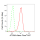 KD-Validated ATG9A Rabbit mAb (20 μl)