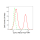 KD-Validated CD13 Rabbit mAb (20 μl)