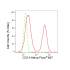 KD-Validated CD13 Rabbit mAb (20 μl)