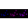 KD-Validated CD13 Rabbit mAb (20 μl)
