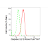 KD-Validated CASP3 Rabbit mAb (20 μl)