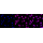 KD-Validated CASP3 Rabbit mAb (20 μl)