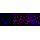 KD-Validated ARF1 Rabbit mAb (20 μl)