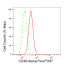 KD-Validated CD36 Rabbit mAb (20 μl)