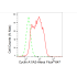 KD-Validated CCNA2 Rabbit mAb (20 μl)