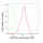 KD-Validated CDC25C Rabbit mAb (20 μl)
