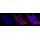 KD-Validated CDC25C Rabbit mAb (20 μl)