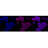 KD-Validated CDC16 Rabbit mAb (20 μl)