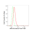 KD-Validated ABCG2 Rabbit mAb (20 μl)