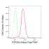 KD-Validated ATP2A2 Rabbit mAb (20 μl)