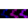 KD-Validated ATP2A2 Rabbit mAb (20 μl)